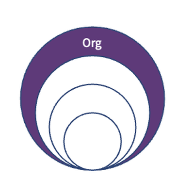 Organisation elevation